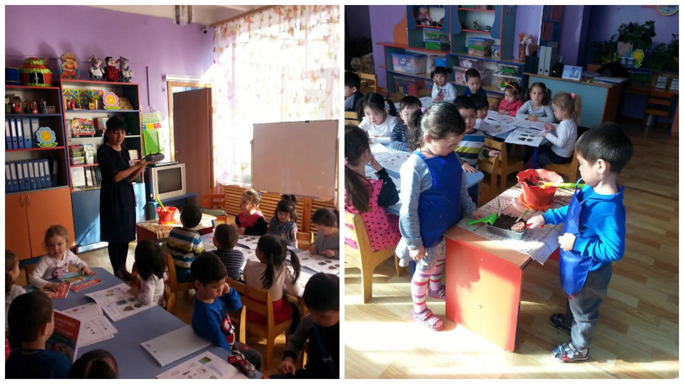 Пияз отырғызу